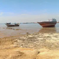 اجاره-شبانه-واحد-یک-خوابه