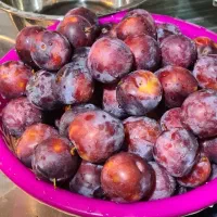 آلو برگه ای خشک شده درجه یک