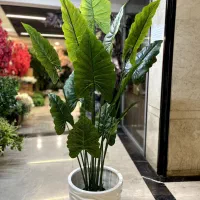 درختچه مصنوعی بـابـاادم 5627|گل مصنوعی|تهران, شوش (باغ آذری)|دیوار