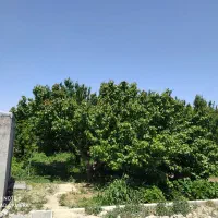 فروش خانه ویلایی ۴ متری در شهرک بهاران (ویره)|فروش خانه و ویلا|شهریار, شهرک بهاران (ویره)|دیوار