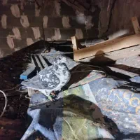 کبوتر رنگی پلاکی