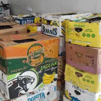 خرمای پاک کرده|خوردنی و آشامیدنی|سعدآباد, |دیوار