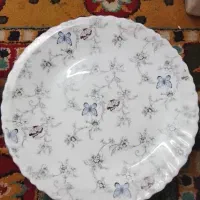 آرکوپال۲۵ پارچه دینو