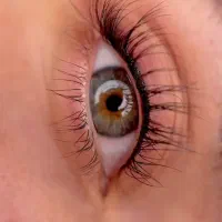 تخفیف۵۰ درصدی میکرو و شیدینگ تخصصی ریمو تک جلسه ای|خدمات آرایشگری و زیبایی|مشهد, هنرستان|دیوار