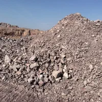 فروش مغزه و ماکادام