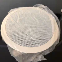 اسپیکر سقف اچ کی ادیو ۶۰