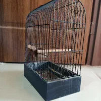 قفس کوچک،ارتفاع35