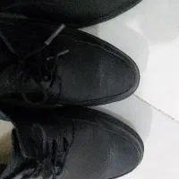 کفش|کیف، کفش، کمربند|تهران, سبلان (لشگر)|دیوار