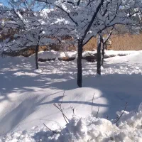 پوتین سیاه نظامی