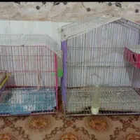 آبادان