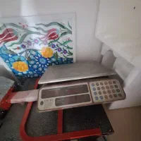 ترازو کمری|فروشگاه و مغازه|بیرجند, |دیوار