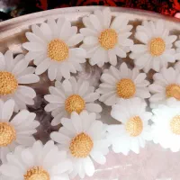 شمع گل بابونه