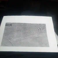 زمین-کشاورزی-دیم