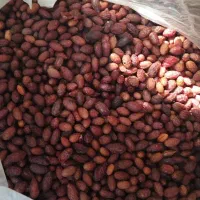 زغال اخته با هسته ۱۷۰تومان آلوچه ۷۰تومان ملس هست|خوردنی و آشامیدنی|تبریز, |دیوار