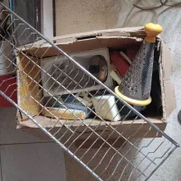 سبد استیل آبریز