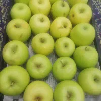 فروش