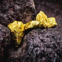 جذب سرمایه گذار جهت استحصال فلزات گرانبها معدنی