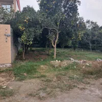 فروش زمین|فروش زمین و ملک کلنگی|کومله, |دیوار