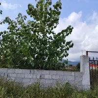 نیاز به سرایدار