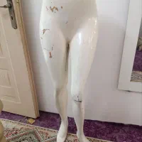 مانکن زنانه|فروشگاه و مغازه|مشهد, شهید معقول|دیوار