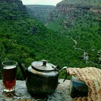 هنرور برای فیلم برداری ازطبیعت