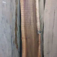 چوب و الوار گردو