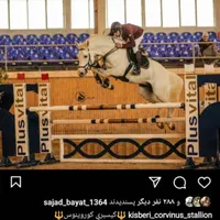 مادیان دوسر خارجی ۴ساله قره نیله پرشی ورزشی|اسب و تجهیزات اسب‌سواری|تهران, شهرک صدرا|دیوار