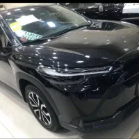 فرانتلندر فیس ۲۰۲۶