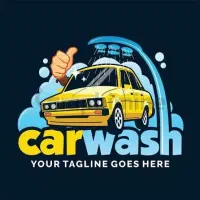 استخدام نیروی ماهر کارواش