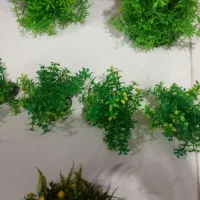 گیاه مصنوعی اکواریوم|ماهی|مشهد, چهارچشمه|دیوار