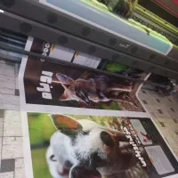 چاپ بنر فوری|خدمات رایانه‌ای و موبایل|یزد, |دیوار