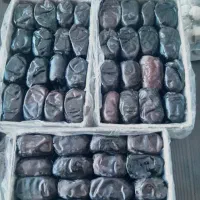 خرما مضافتی