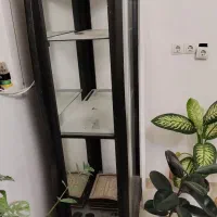 بوفه|بوفه، ویترین، کنسول|بوشهر, |دیوار