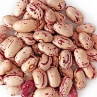 لوبیا چیتی
