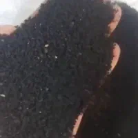 سیاهدانه اصلاحه شده