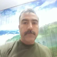 نیروی کار کارواش