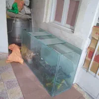 آکواریوم