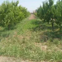 فروش-زمین-6هزارو-300-متری