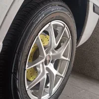 رینک شاخ گوزنی(بدون لاستیک)