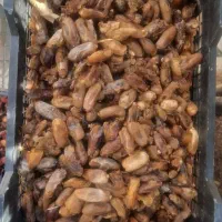 خرما شیرازی مخصوص دوشاو