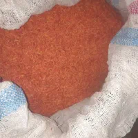 گلرنگ خوش رنگ بازار پسند