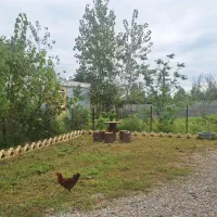 ویلایی ۳۰۰متر/بنا ۸۰متری/تکخوابه/ در تالش|فروش خانه و ویلا|تالش, طولارود|دیوار