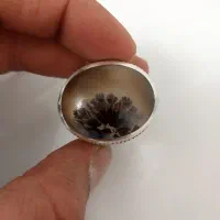 انگشتر شجر درجه یک