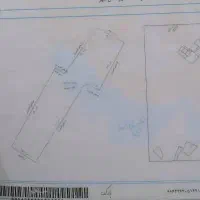 فروش زمین نخلستان