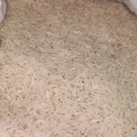 برنج فجرگرگان کیلویی ۱۷۰تومن|عمدهفروشی|چمستان, |دیوار