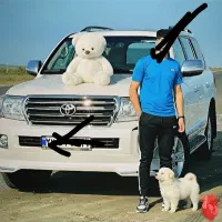 سگ آپارتمانی و یک  عروسک خرس