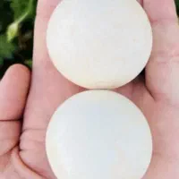 سنگ الماس آسیاب