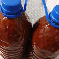 رب گوجه