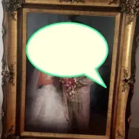 دو عدد قاب عکس سلطنتی