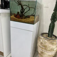 اکواریوم بک سامپ APA